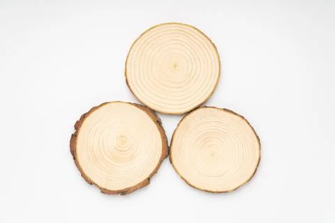 Three pine tree cross-sections with annual rings on white background. Lumber Stock Photos