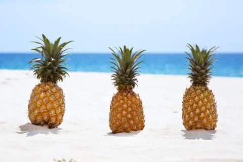 Three pineapples on white sandy beach background Stock Photos
