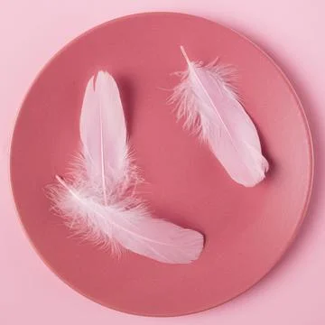 Three pink feathers in the flat plate. Minimal concept idea for diet or eat l Foto stock
