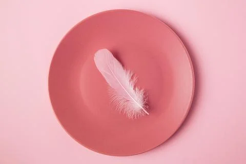 Three pink feathers in the flat plate. Minimal concept idea for diet or eat l Foto stock