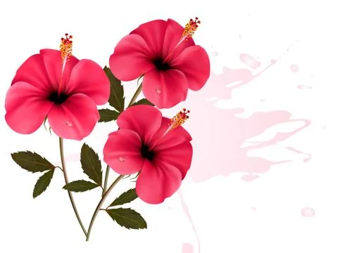 Three pink flowers background. vector. Stock Illustration