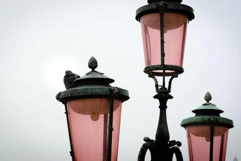 Three pink lanterns on a cloudy day with a pigeon 스톡 사진