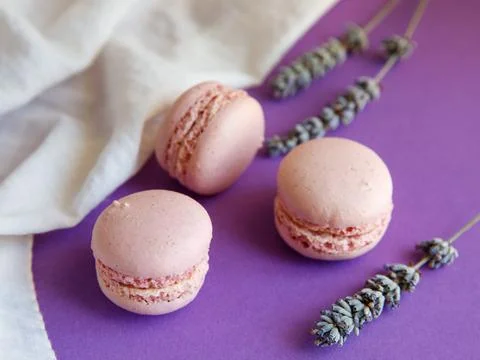 Three pink macaroons close-up on bright purple background with lavender flower Stock Photos