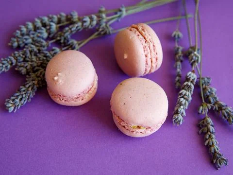 Three pink macaroons close-up on bright purple background with lavender flowe Stock Photos