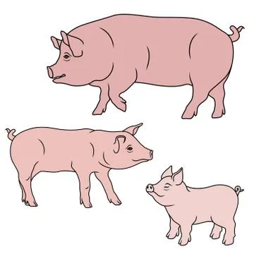Three pink pigs Stockillustratie