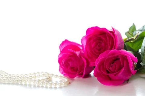 Three pink roses Stock Photos
