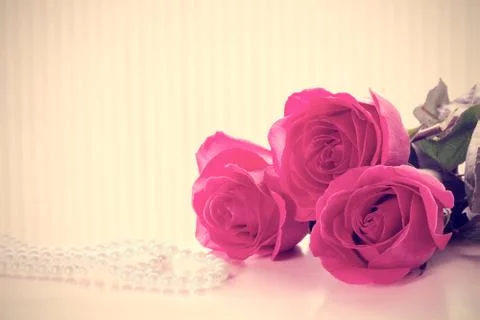 Three pink roses Stock Photos