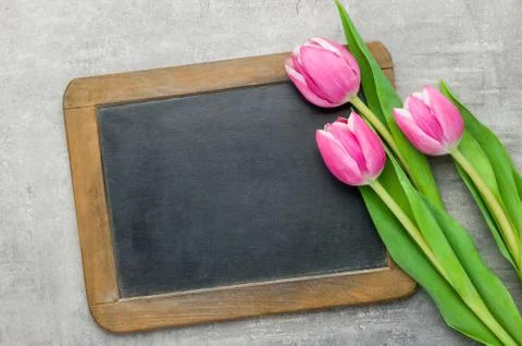 Three pink tulips with an empty chalkboard Stock Photos