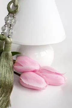 Three pink tulips Stock Photos