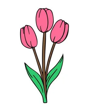 Three Pink Tulips Vector Illustration with Brown Stems and Green Leaves Isolated イラスト素材