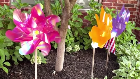 Three Pinwheels Spinning Video stock 238415745