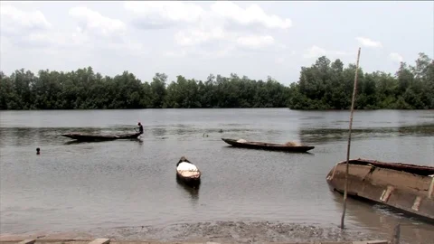 Three pirogues on the Wouri river Stock Footage 80480668
