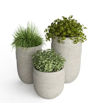 Three planters sit in front of each other on a white surface Stock Illustration