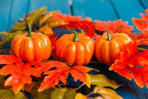Three plastic pumpkins and leaves fall concept Stock Photos