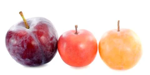 Three plums Stock Photos