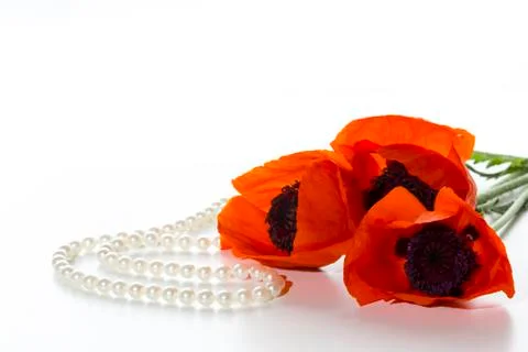 Three poppy Stock Photos