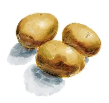Three potatoes with shadows Stock Illustration