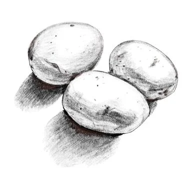 Three potatoes with shadows Stock Illustration