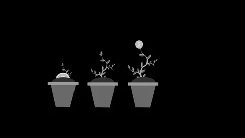 Three potted plants showing growth stages with a coin symbol above the tall.. Stock-Footage 337083692