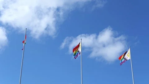 Three Pride Flags Waving on Pole with Blue Sky Background Footage. Stock Footage 311502303