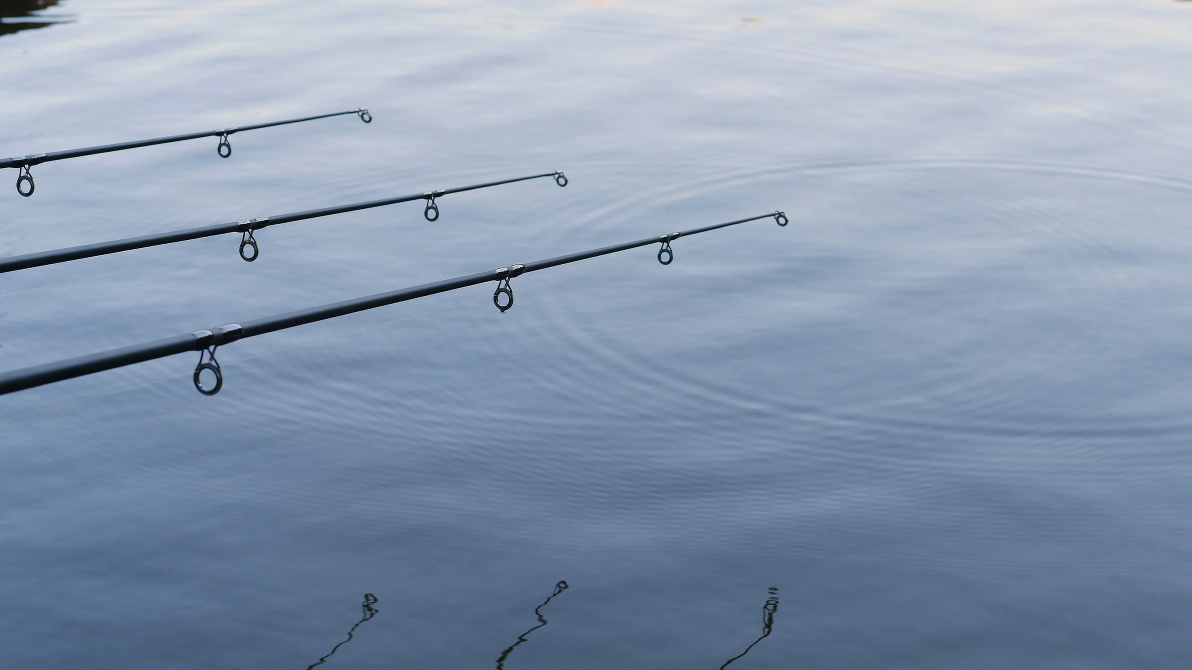 Three professional fishing rod waiting f, Stock Video