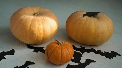 Three pumpkins and paper bat 库存影片 119071726