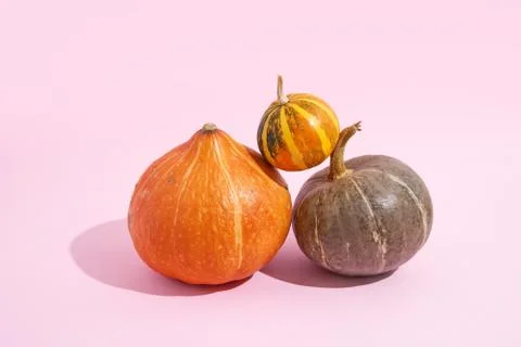 Three pumpkins balancing. pink background with sunlight shadows. halloween and Stock Photos
