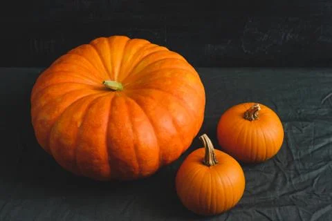 Three pumpkins on a black background Stock Photos