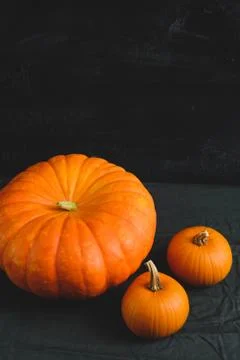 Three pumpkins on a black background Stock Photos