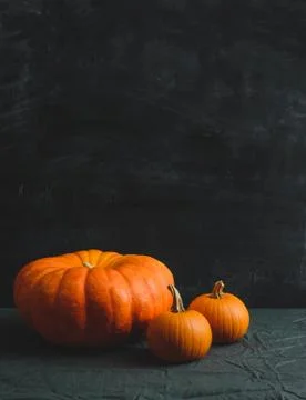 Three pumpkins on a black background Stock Photos
