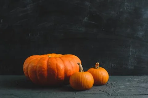 Three pumpkins on a black background Stock Photos