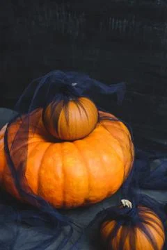 Three pumpkins on a black background Stock Photos