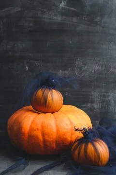Three pumpkins on a black background Stock Photos
