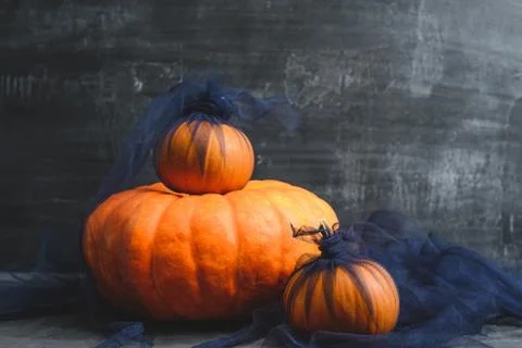 Three pumpkins on a black background Stock Photos