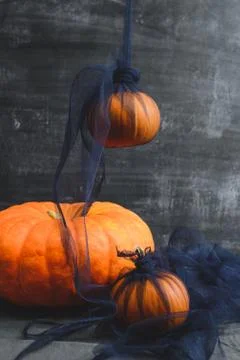 Three pumpkins on a black background Stock Photos
