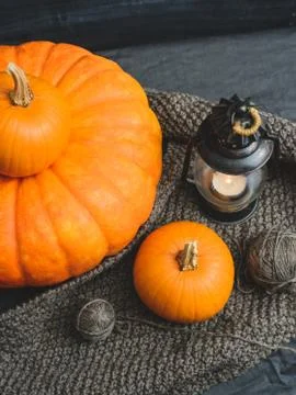 Three pumpkins on a black background Stock Photos