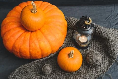 Three pumpkins on a black background Stock Photos