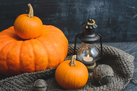 Three pumpkins on a black background Stock Photos