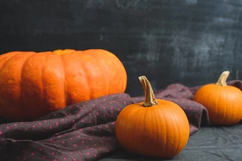 Three pumpkins on a black background Stock Photos
