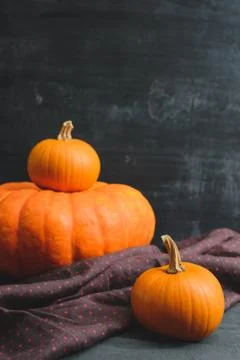 Three pumpkins on a black background Stock Photos