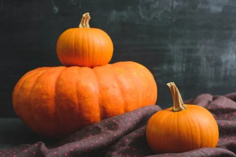 Three pumpkins on a black background Stock Photos
