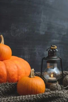 Three pumpkins on a black background Stock Photos