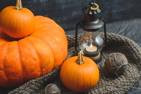 Three pumpkins on a black background Stock Photos