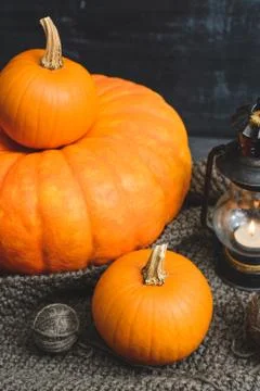 Three pumpkins on a black background Stock Photos