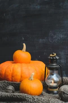 Three pumpkins on a black background Stock Photos