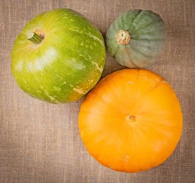 Three pumpkins of different shapes and colors unretouched flat lay photo Stock Photos