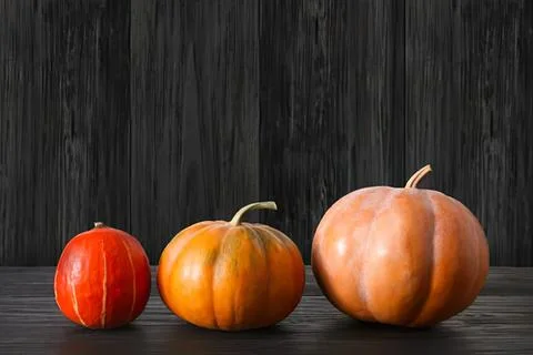 Three pumpkins of different sizes on dark wooden background Stock Photos
