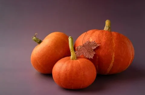 Three pumpkins of different sizes with a maple leaf on a purple background Stock-Fotos
