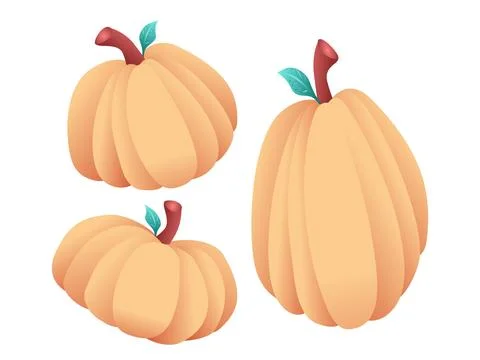 Three Pumpkins Gourd Drawing Stock Illustration