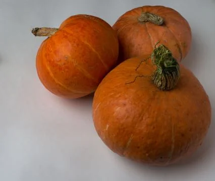 Three pumpkins from the harvest. Stock-Fotos
